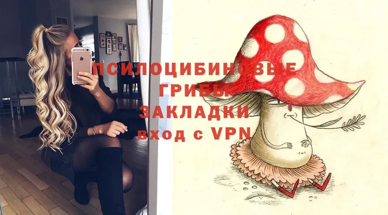 мега   Галич  Галлюциногенные грибы Magic Shrooms 